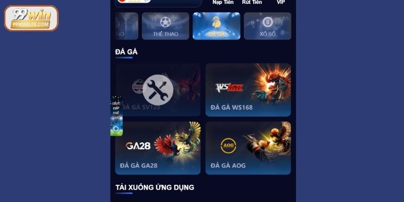Các thương hiệu hợp tác với hệ thống đá gà 99Win
